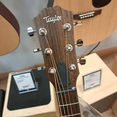 Taylor Guitars - GTE URBAN ASH 2
